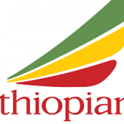 Ethiopia Airline